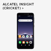 Insight (Cricket)