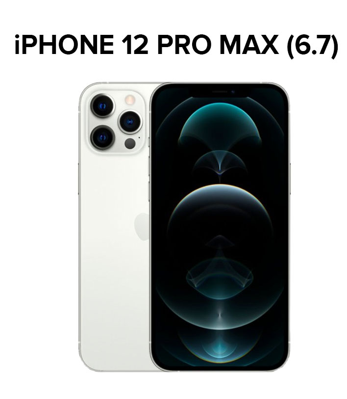 iPhone 12 Pro Max (6.7)